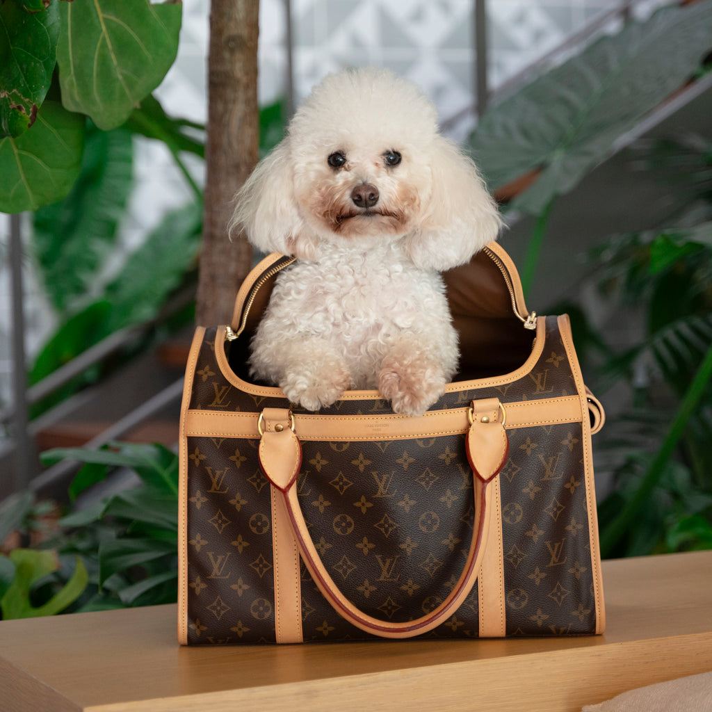 LOUIS VUITTON MONOGRAM PET BAG