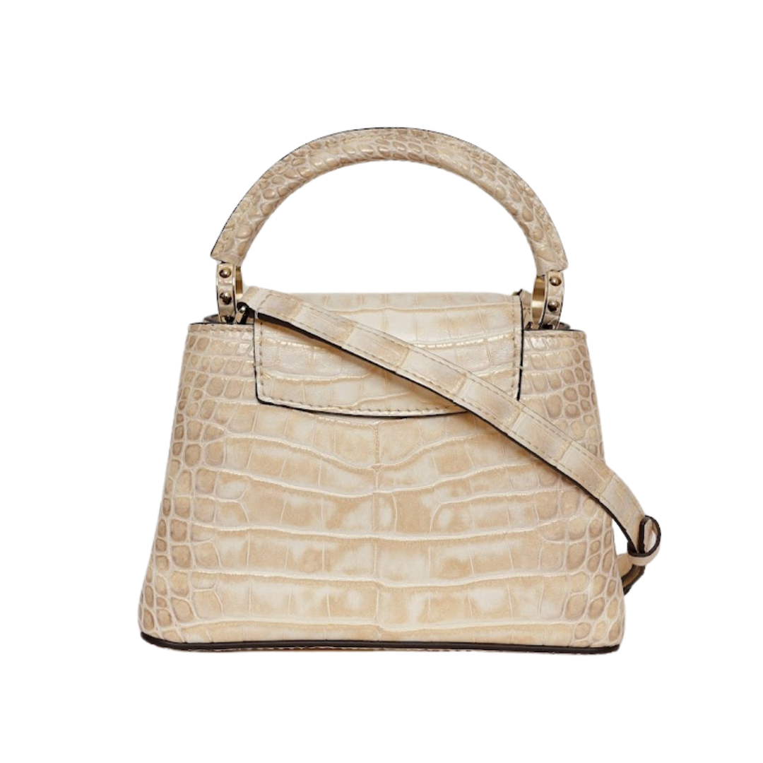 BOLSA LOUIS VUITTON EXOTIC CROCO