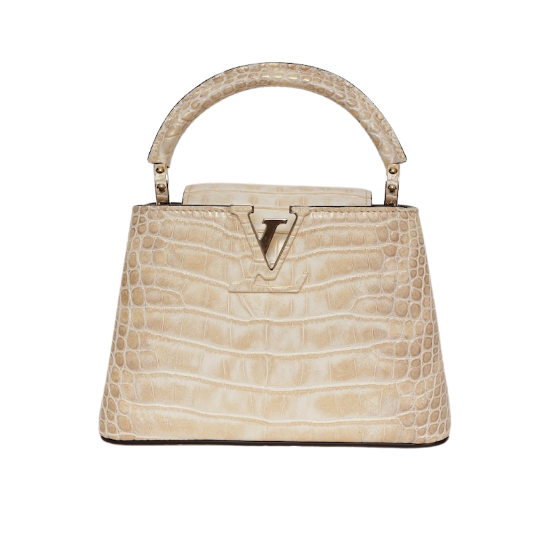 BOLSA LOUIS VUITTON EXOTIC CROCO